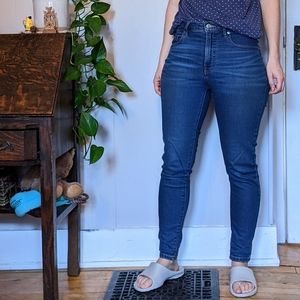 Everlane Curvy Authentic Stretch High-Rise Skinny Jean: 28 Regular in Mid Blue